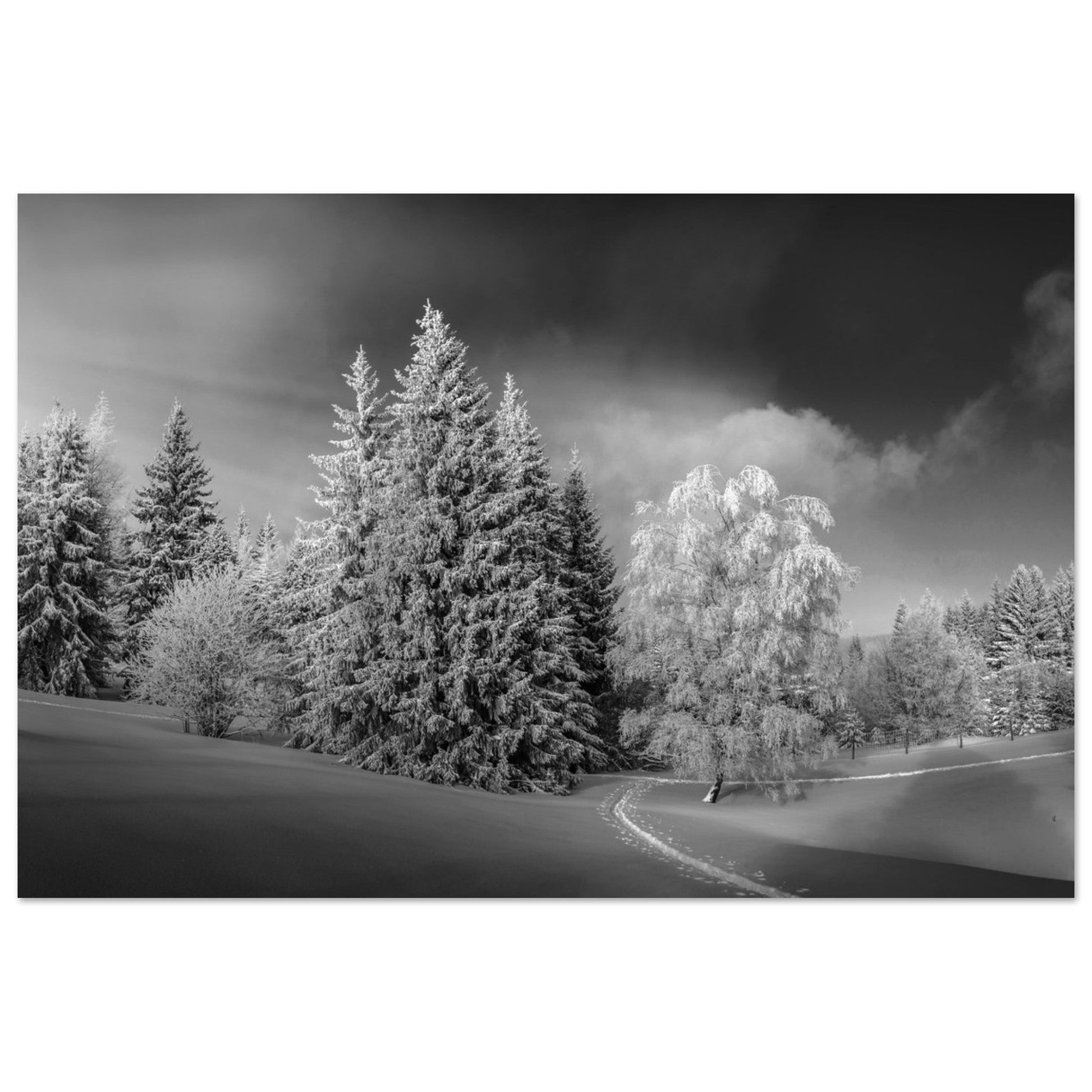 Photo d'un paradis Blanc à la Féclaz, Savoie - Noir & Blanc - Tableau photo alu montagne