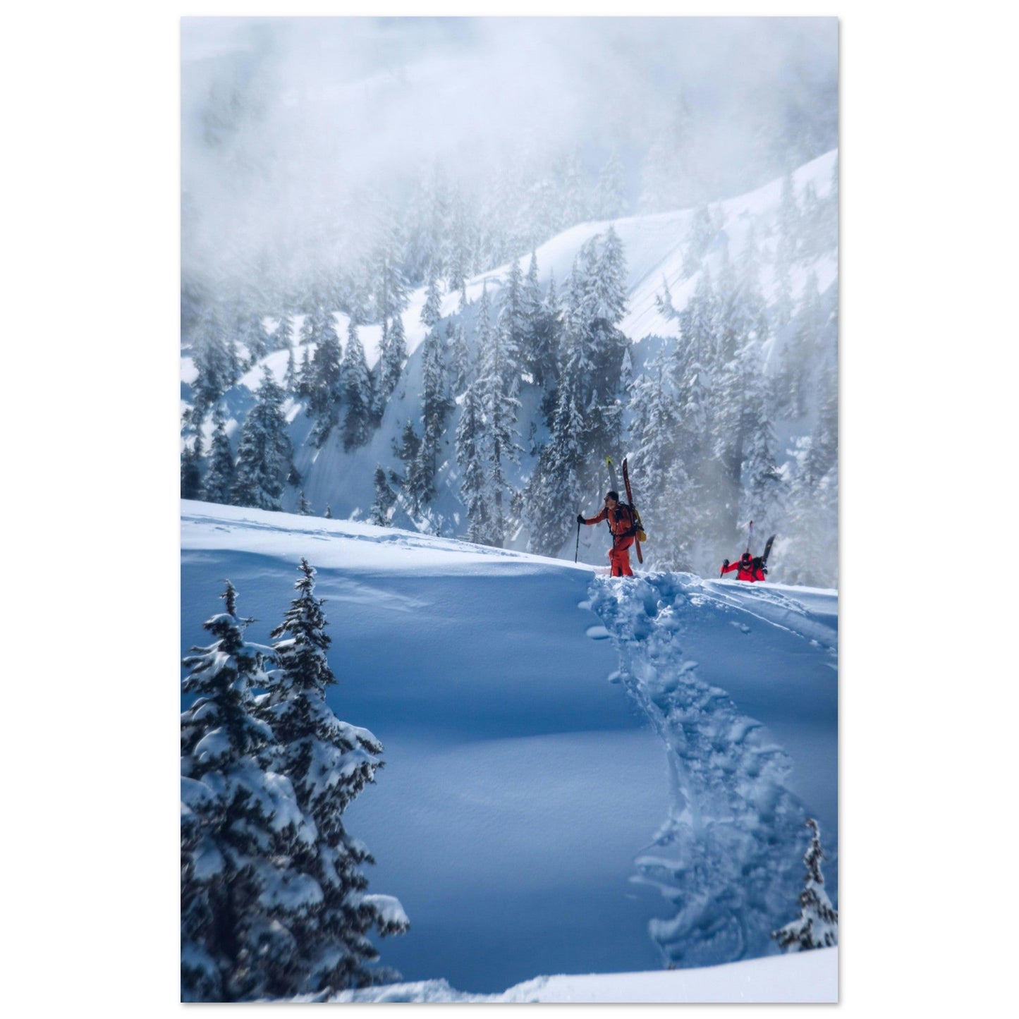 Photo ski de rando en foret dans les Alpes - Tableau photo alu montagne