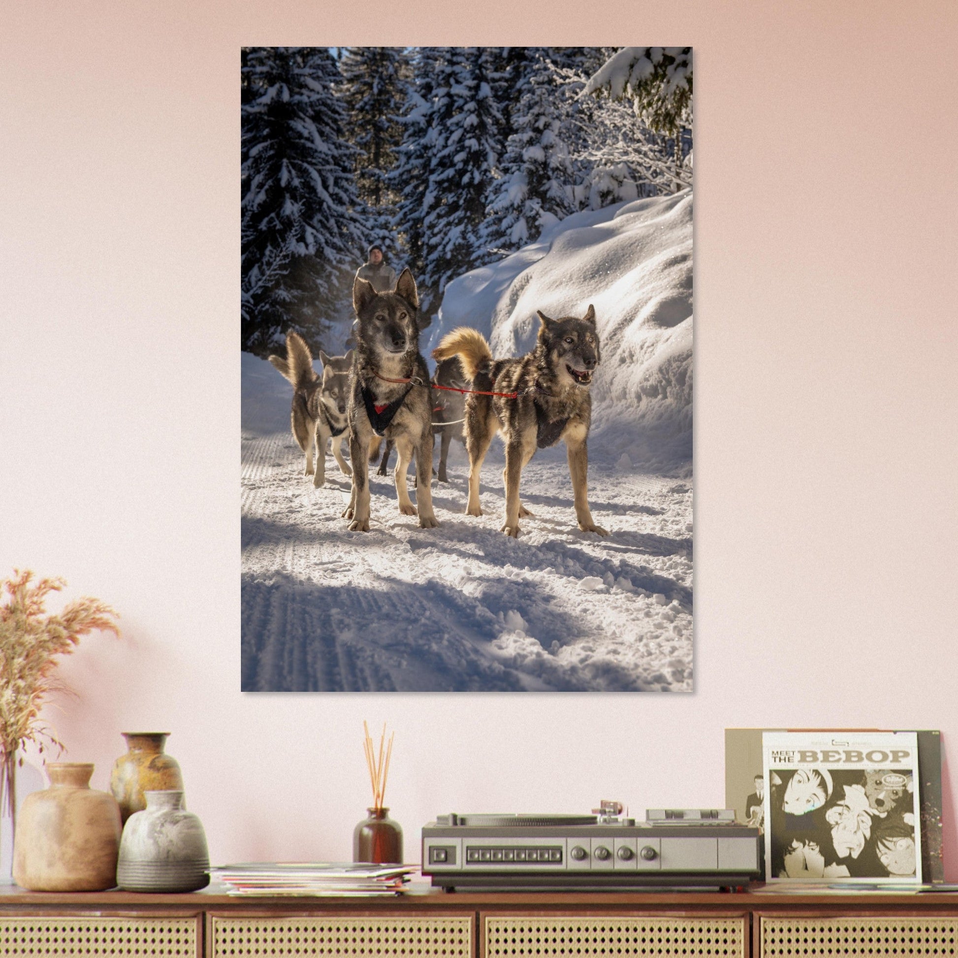 Vente Photos de huskies à Courchevel, Savoie - #4 - Tableau photo alu montagne