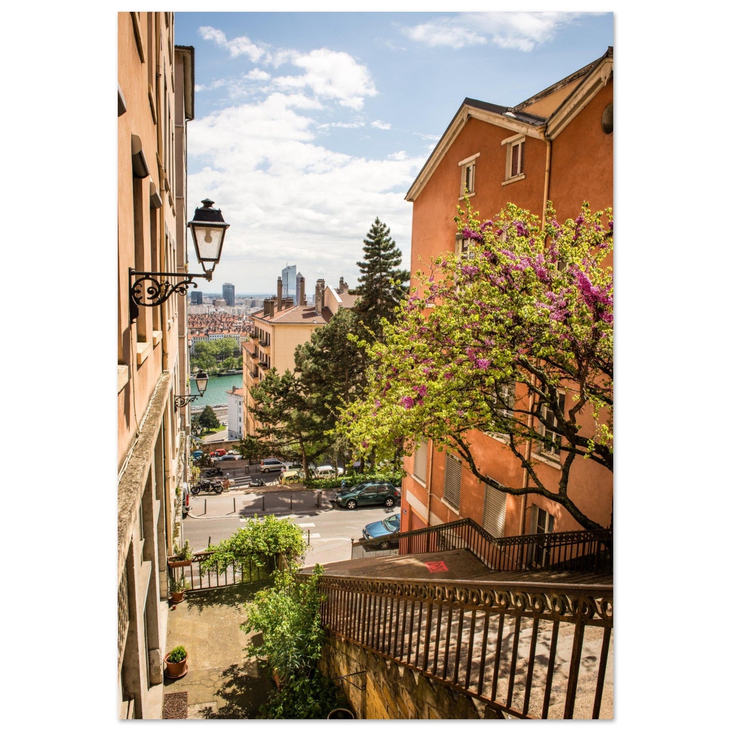 Tableau photo Photo l'arbre en fleurs, Escaliers rue Grognard, Croix - Rousse, Lyon — tirage aluminium Dibond mat, fabrication française, prêt à accrocher