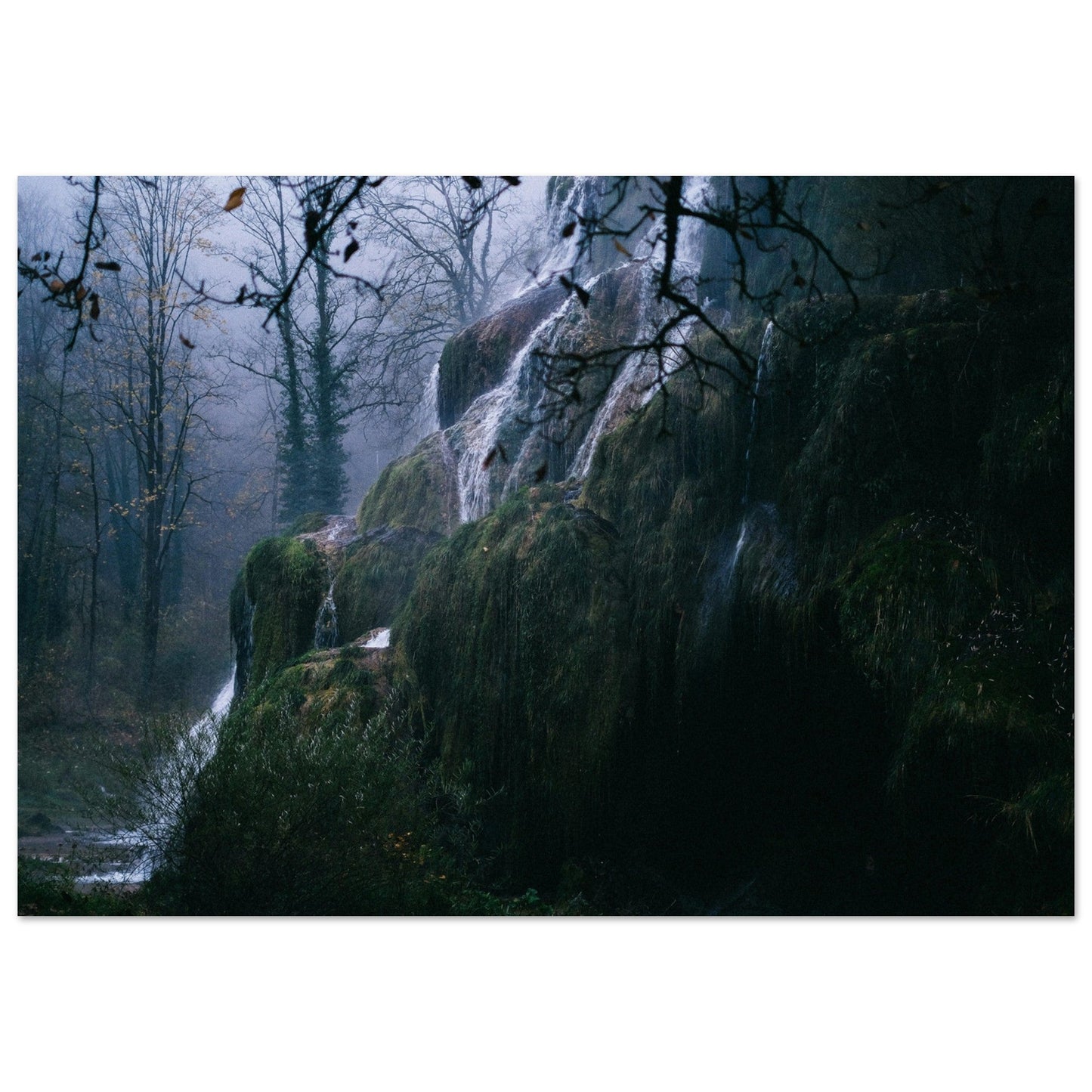 Tableau photo Photo d'une foret dans le Jura — tirage aluminium Dibond mat, fabrication française, prêt à accrocher