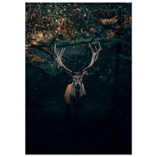 Tableau photo Photo d'un cerf en foret 3 — tirage aluminium Dibond mat, fabrication française, prêt à accrocher