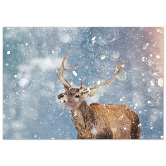 Tableau photo Photo d'un cerf sous la neige — tirage aluminium Dibond mat, fabrication française, prêt à accrocher