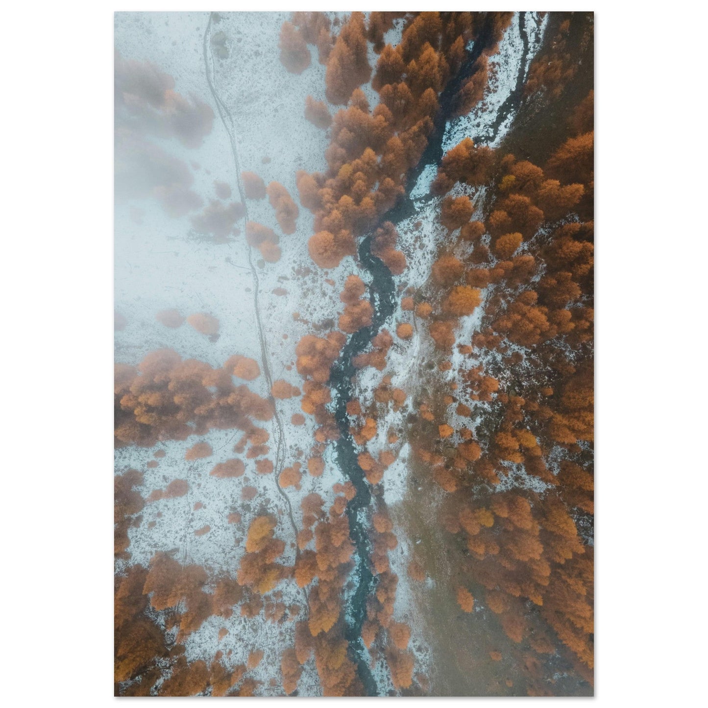 Tableau photo Photo drone de Mélèzes en automne, Massif des Ecrins 2 — tirage aluminium Dibond mat, fabrication française, prêt à accrocher