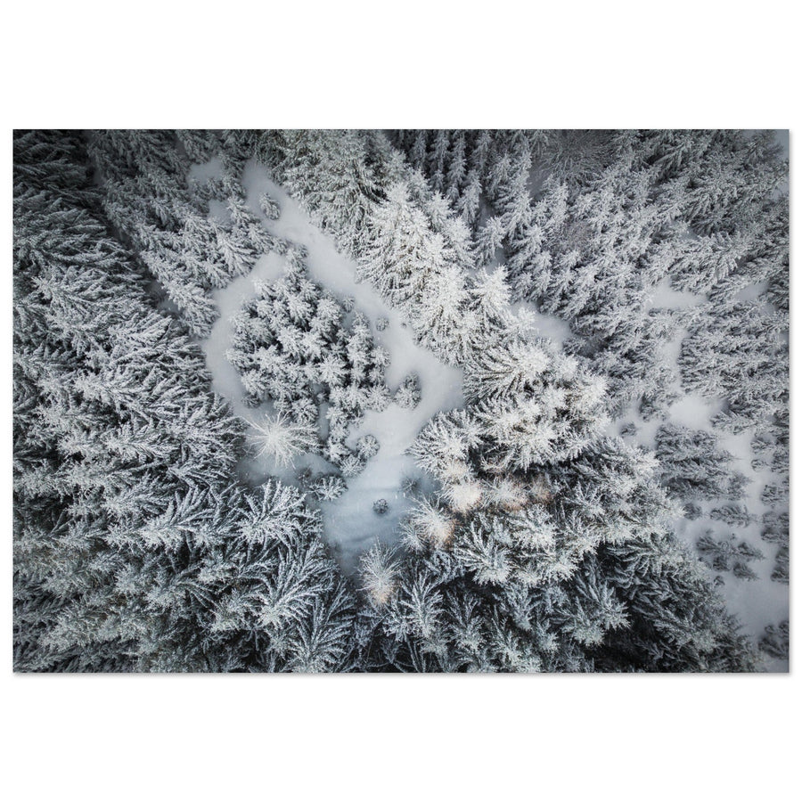 Tableau photo en Alu Dibond : Vue aérienne de sapins en neige