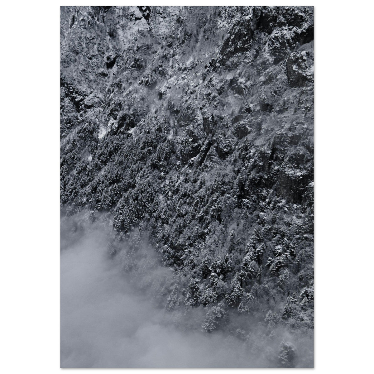 Forêt enneigée photographiée au drone dans le massif des Écrins