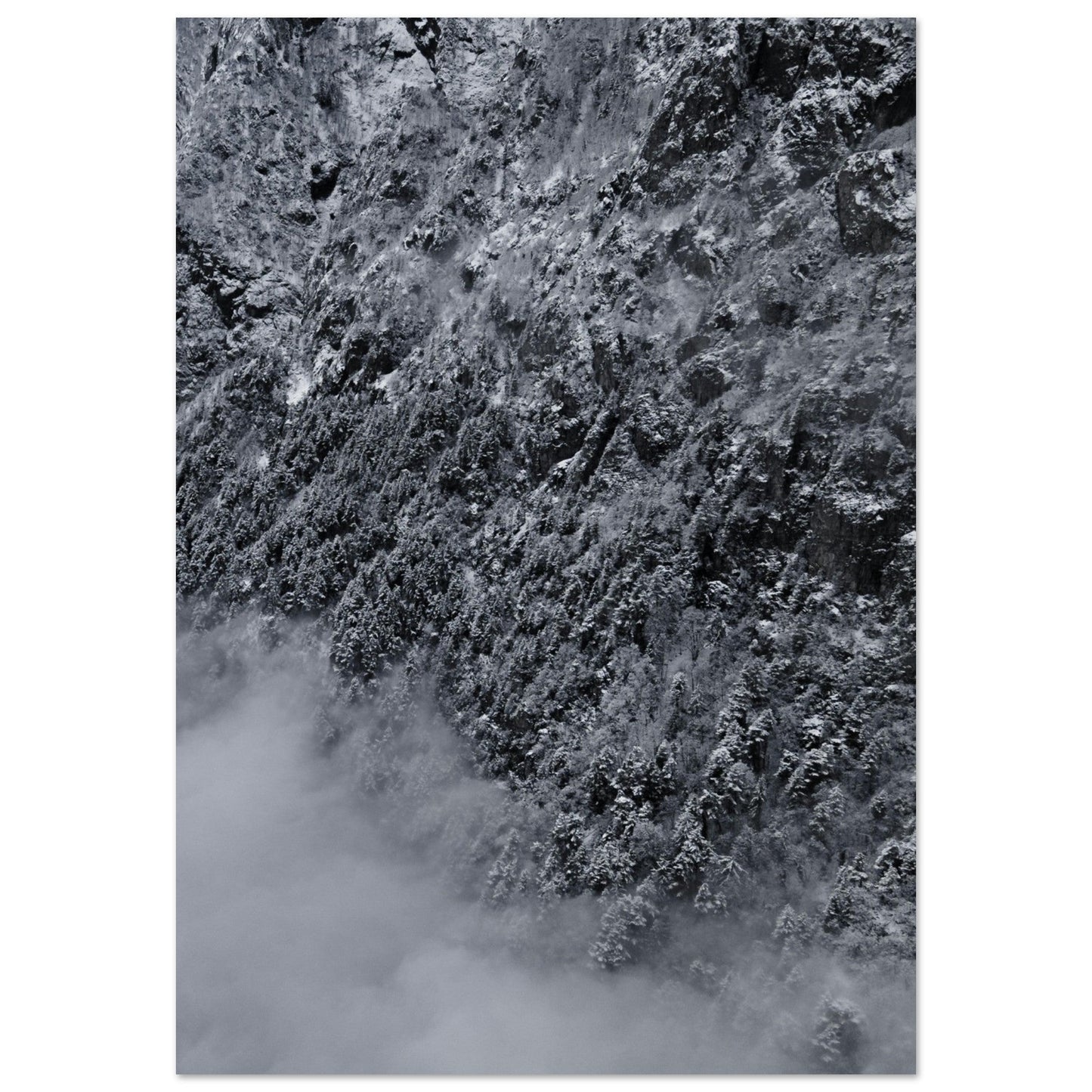 Tableau photo Photo drone de sapins enneigés, Massif des Ecrins 2 — tirage aluminium Dibond mat, fabrication française, prêt à accrocher