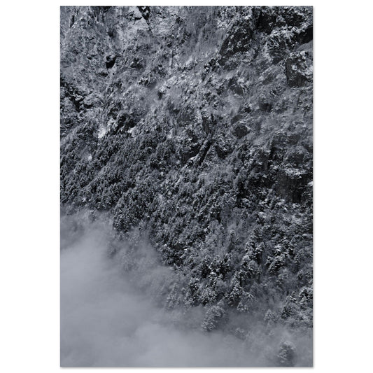 Tableau photo Photo drone de sapins enneigés, Massif des Ecrins 2 — tirage aluminium Dibond mat, fabrication française, prêt à accrocher