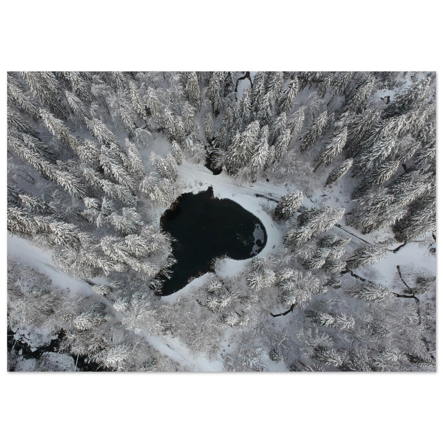 Tableau photo Photo drone de sapins enneigés et lac, Cirque du Fer - à - Cheval — tirage aluminium Dibond mat, fabrication française, prêt à accrocher