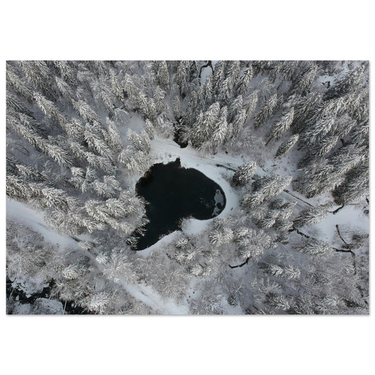 Tableau photo Photo drone de sapins enneigés et lac, Cirque du Fer - à - Cheval — tirage aluminium Dibond mat, fabrication française, prêt à accrocher