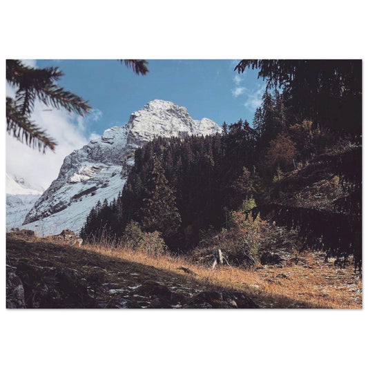 Tableau photo Photo de la foret de la Clusaz, Haute Savoie 4 — tirage aluminium Dibond mat, fabrication française, prêt à accrocher