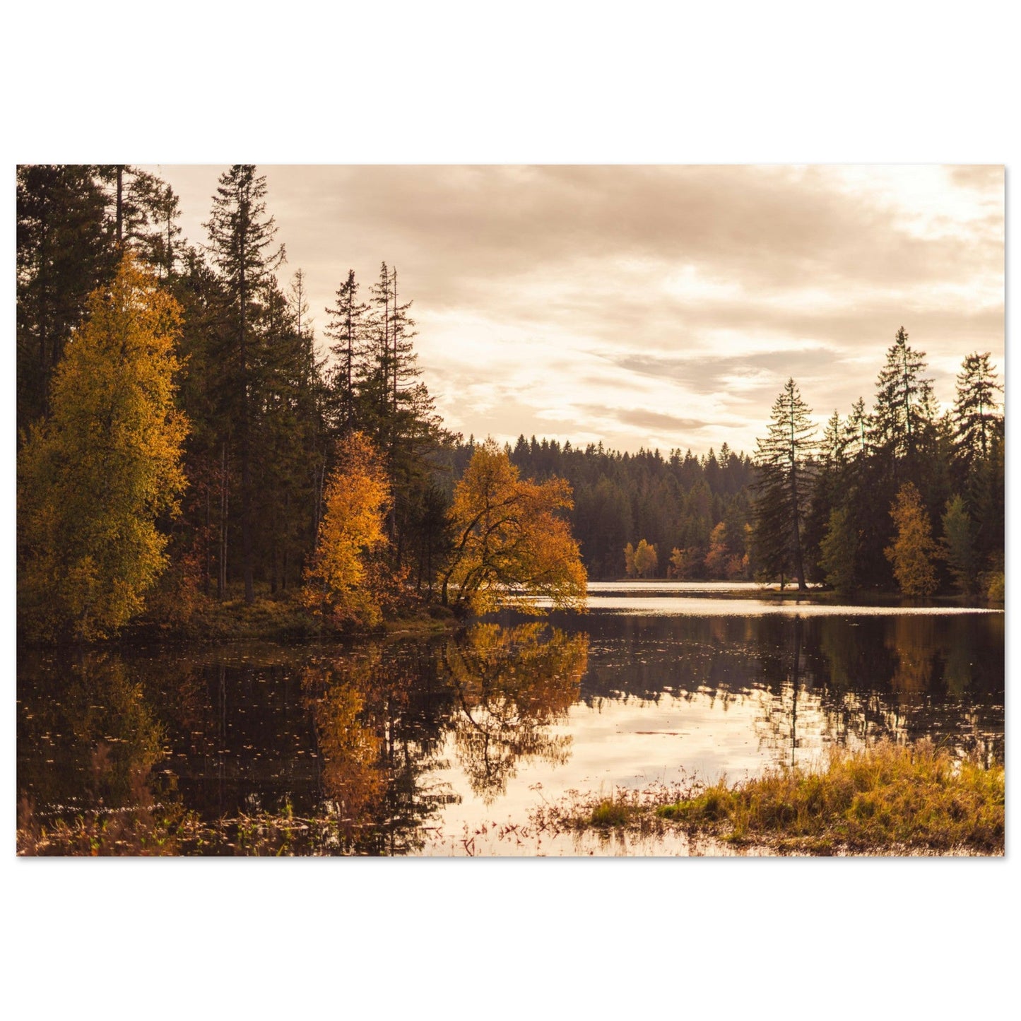 Tableau photo Photo du Jura en automne 2 — tirage aluminium Dibond mat, fabrication française, prêt à accrocher