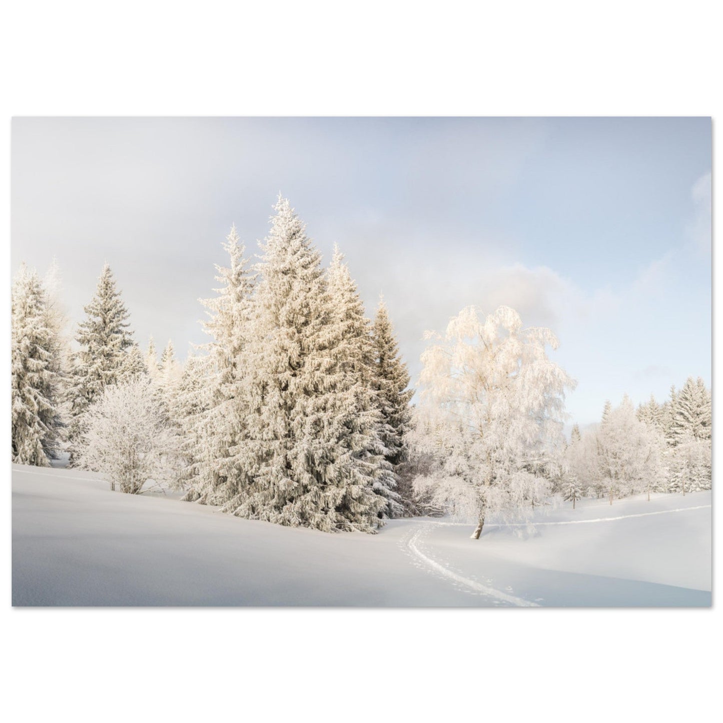 Tableau photo Photo d'un paradis Blanc à la Féclaz, Savoie — tirage aluminium Dibond mat, fabrication française, prêt à accrocher