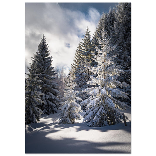 Tableau photo Photo de magnifiques sapins enneigés — tirage aluminium Dibond mat, fabrication française, prêt à accrocher
